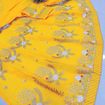 Women Rajasthani Lehenga Choli